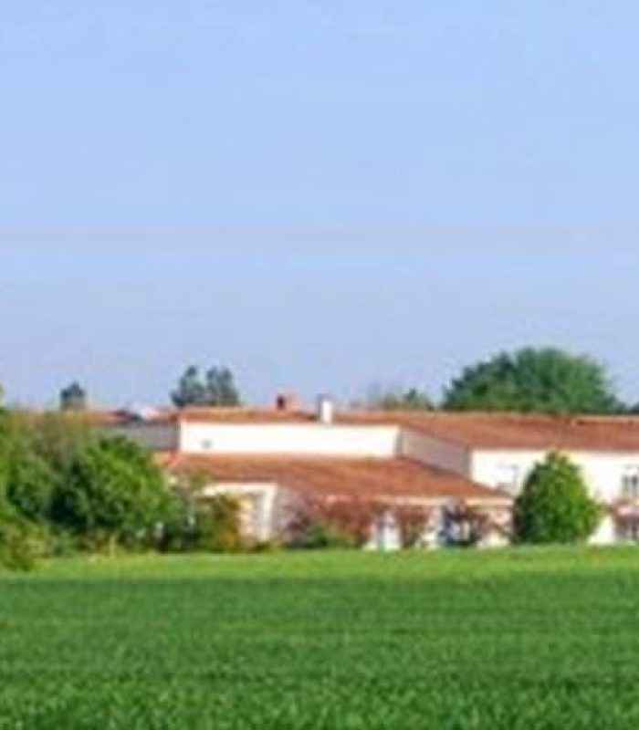 Corme royal (Copier)